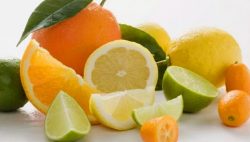 dica-alimentos dica-alimentos